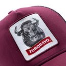 GORRO_TOROBAYO3